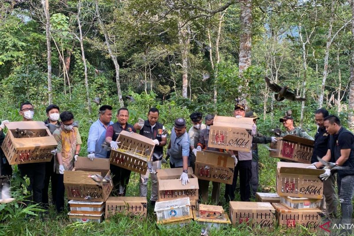 977 Burung Hasil Sitaan dari Penyelundupan di Pelabuhan Bakauheni Dilepasliarkan ke Hutan Lindung Gunung Rajabasa, Lampung