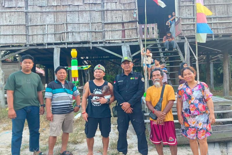 BKSDA Sampit Terima Penyerahan Anak Orangutan dari Warga Kotim, Satwa Langka Akan Direhabilitasi di Pusat Khusus