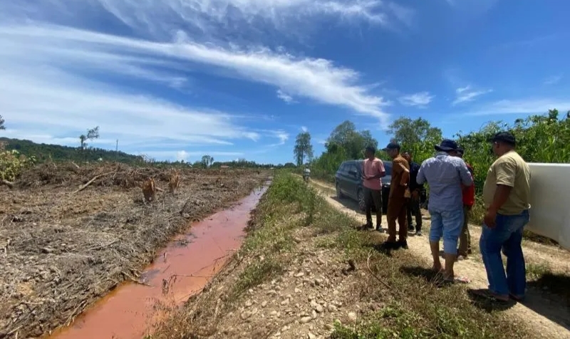 Usulan 1.000 Hektare Sawah Baru di Aceh Jaya Disetujui APBN, Total Anggaran Capai Rp 35 Miliar