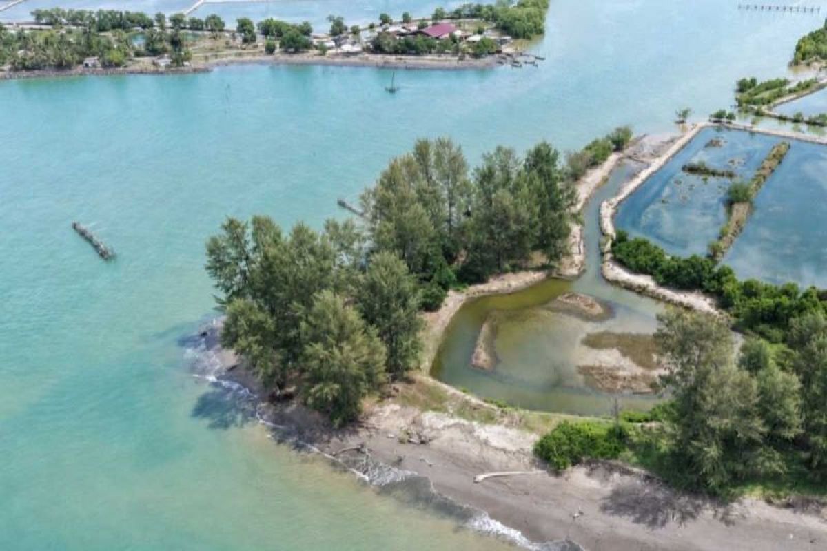 Pemkab Aceh Timur Siapkan Pulau Idaman Seluas 18 Hektare Jadi Destinasi Wisata Unggulan, Habitat Penyu Jadi Daya Tarik