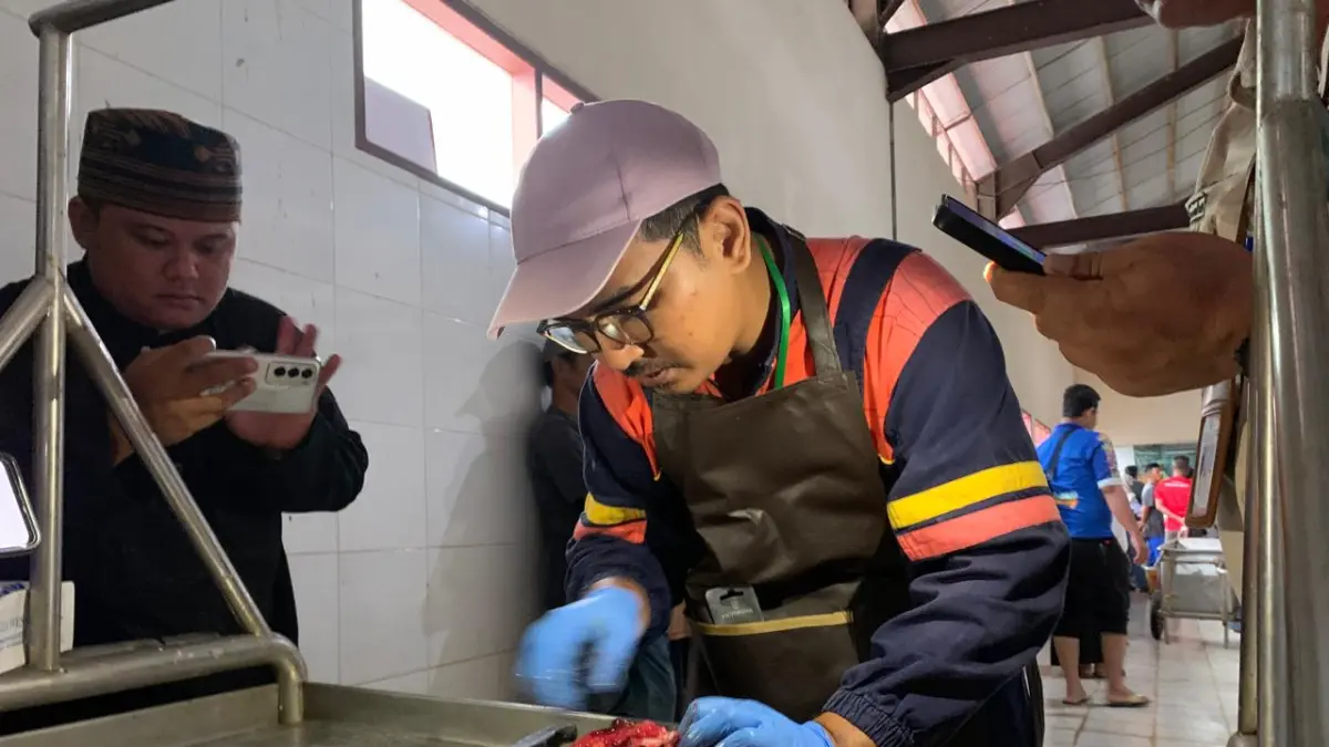 Cacing Hati Ditemukan pada Hewan Kurban di Tarakan, DKPP Perketat Pemeriksaan Organ Dalam
