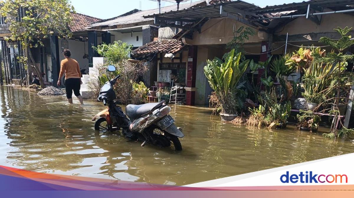 Banjir Rob di Pati Makin Parah, 50 Rumah Terendam Sebulan Lebih, Warga Tunggulsari Butuh Logistik