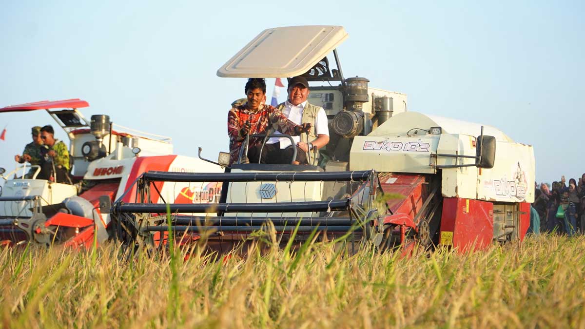 Produksi Beras Sumsel Tembus Peringkat 3 Nasional, Herman Deru Sebut Target 5 Juta Ton pada 2029