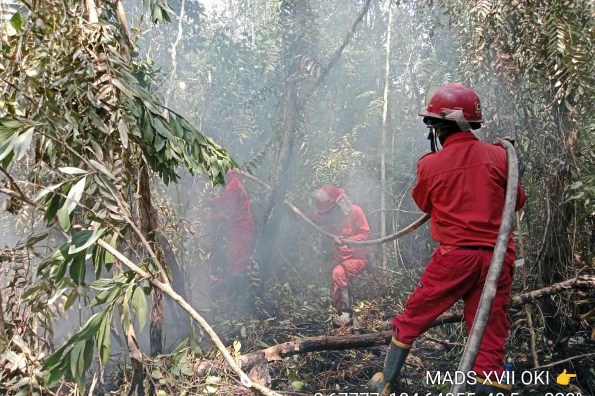 Tim Manggala Agni Padamkan Dua Titik Karhutla di Banyuasin dan OKU Timur, Satu Area Capai 15 Hektare