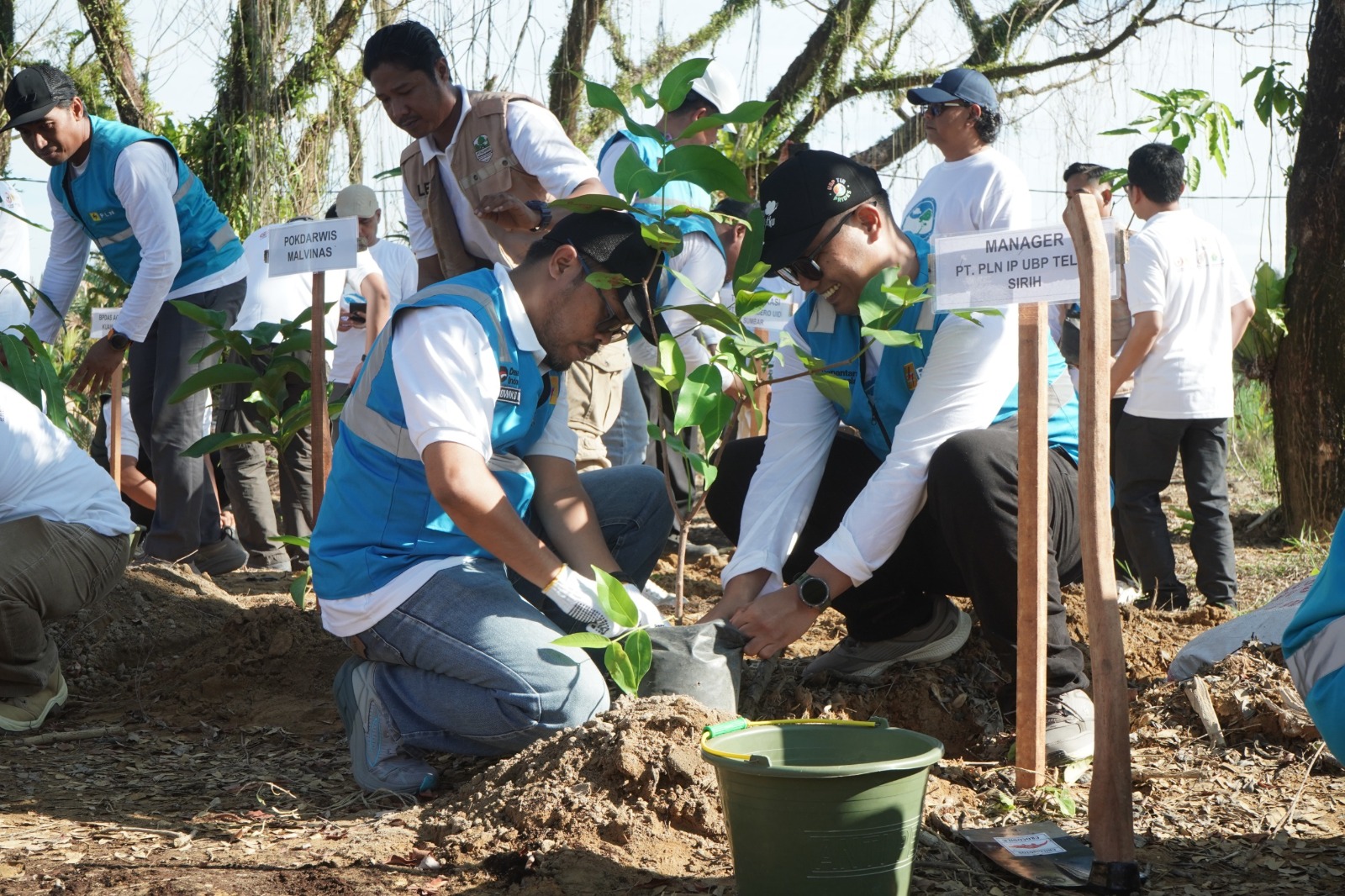PLN Indonesia Power UBP Teluk Sirih Tanam Ratusan Pohon di Taman Hutan Kota Malvinas Padang, Dukung Program Lingkungan Pemprov Sumbar