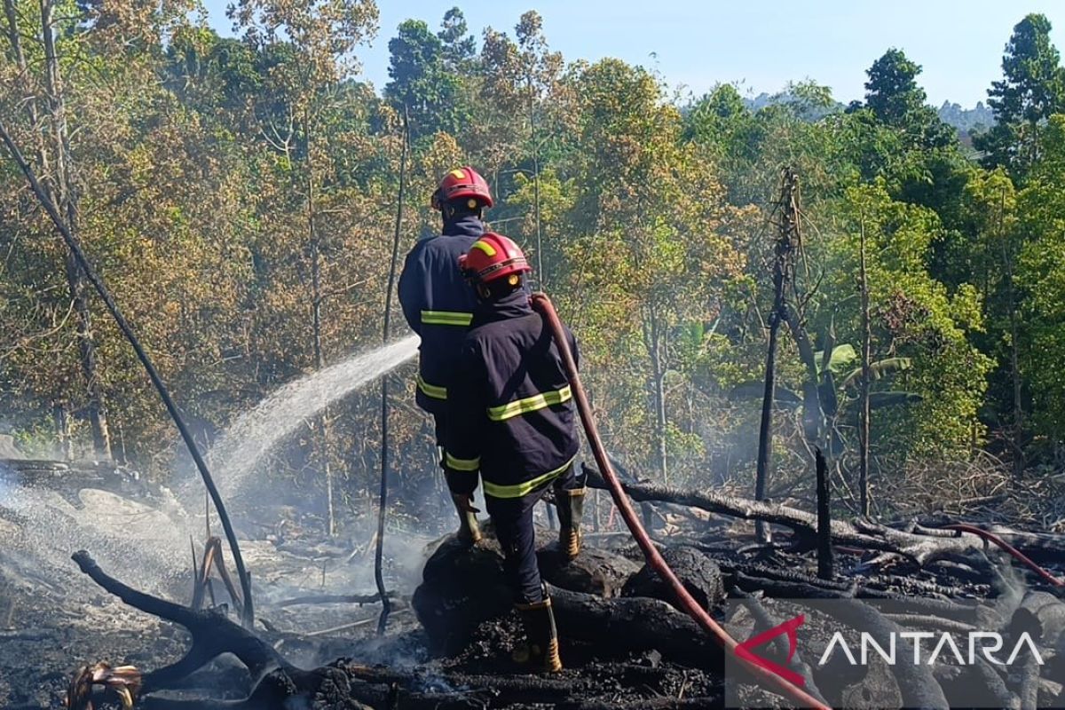 Damkar Lamsel Padamkan Kebakaran Lahan di Kalianda, Kerugian Capai Rp 35 Juta akibat Angin Kencang