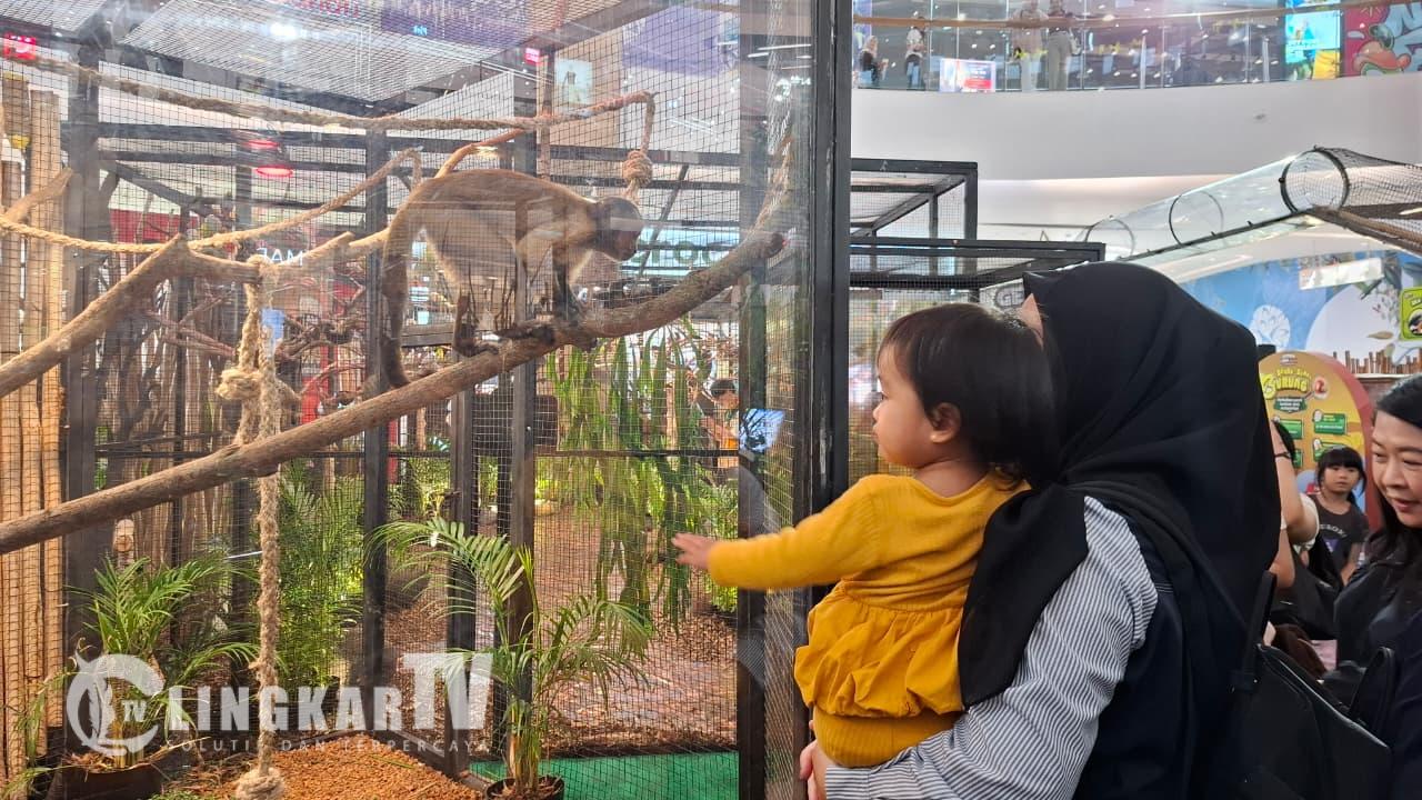 Gembira Loka Zoo Bawa 350 Satwa ke Mal Semarang, Buktikan Kebun Binatang Bisa Bersih, Modern, dan Tak Bau