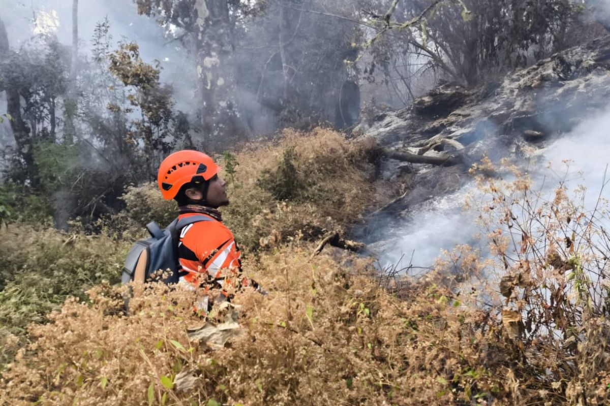 Kebakaran Hutan di Gunung Butak Meluas, BPBD Kota Batu Kerahkan Tim Gabungan Antisipasi Dampak Angin