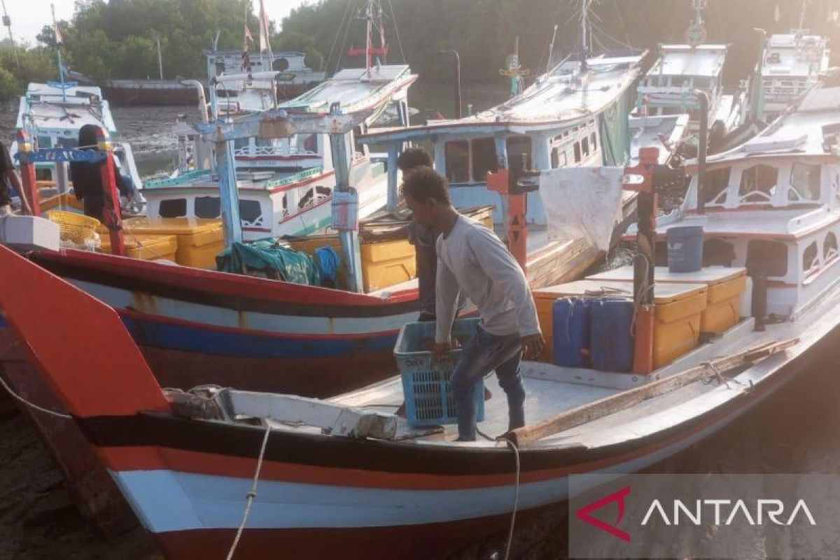 Target Produksi Perikanan Tangkap PPN Sungailiat 2026 Tembus Rp113,45 Miliar, Realisasi Sudah Capai 57 Persen