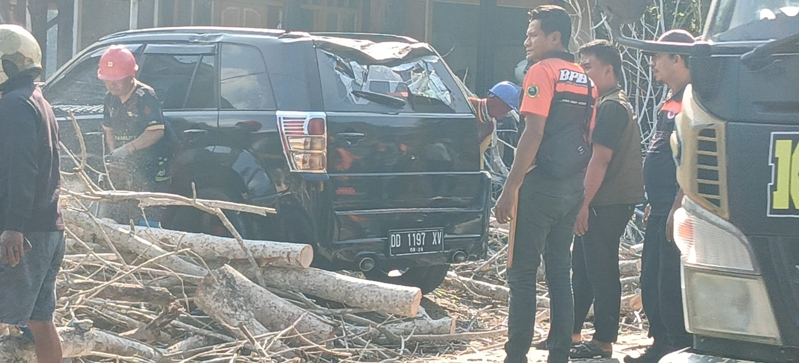 Pohon Kering Tumbang di Jalur Poros Enrekang–Toraja Timpa Mobil dan Motor, Lalu Lintas Sempat Macet