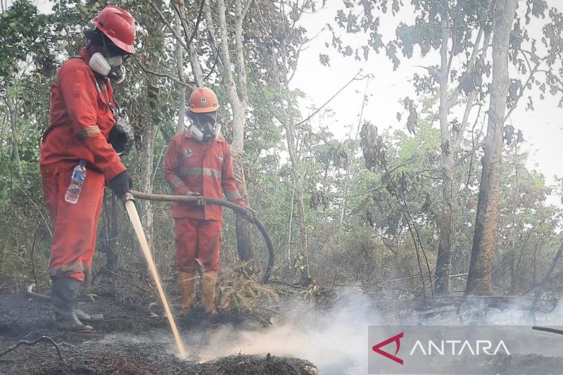 Pemprov NTB Siagakan Modifikasi Cuaca Antisipasi Karhutla Saat Musim Kemarau, Ini Wilayah Prioritasnya