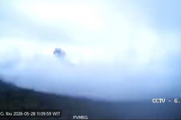 Gunung Ibu di Halmahera Barat Kembali Erupsi, Kolom Abu Vulkanik Capai 400 Meter ke Arah Timur Laut