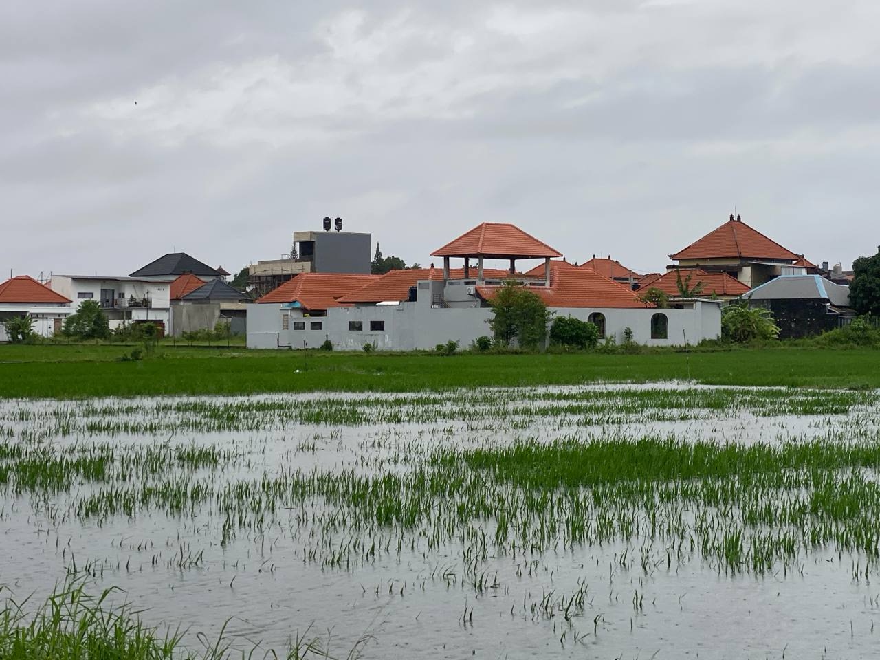 Denpasar Kehilangan Kemampuan Serap Air Hujan Akibat Betonisasi, 60 Persen Wilayah Kini Kedap Air