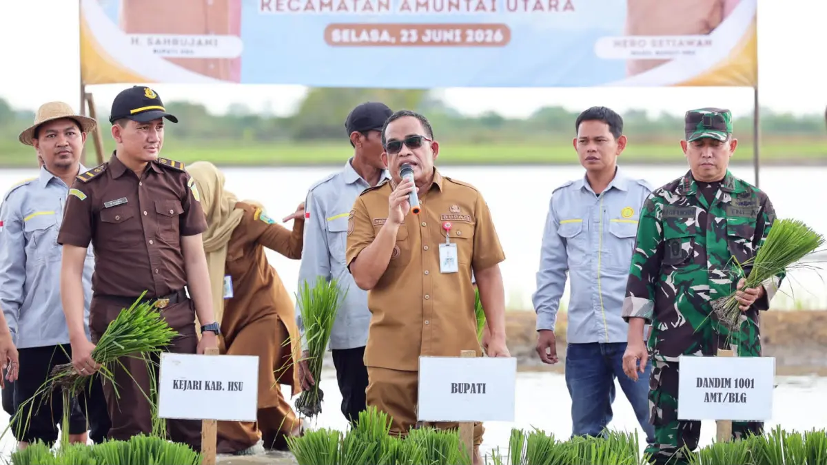 Pemkab HSU Tancap Gas Wujudkan Swasembada Pangan Lewat Tanam Padi Bersama di Murung Karangan