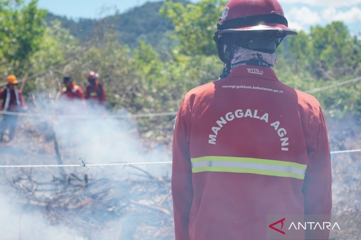 Kalbar Jadi Percontohan Peta Risiko Karhutla Gambut Nasional, 3 Kabupaten Prioritas Disorot
