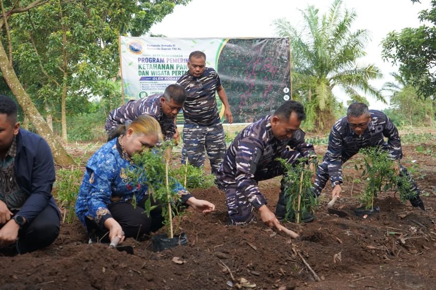 TNI AL Kodaeral I Tanam Perdana 270 Hektare Lahan di Deli Serdang, Dukung Ketahanan Pangan Nasional