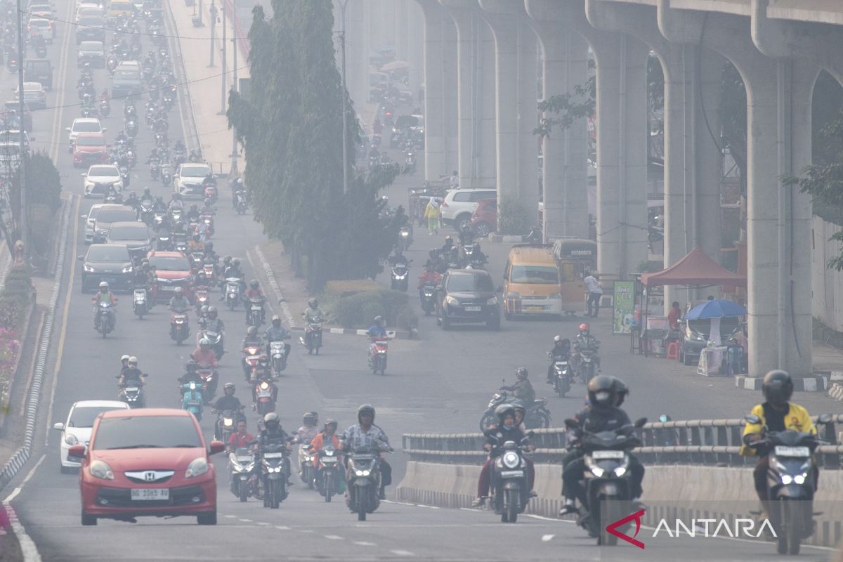 Luas Karhutla Sumsel Kini Tersisa 67 Hektare, BNPB Sebut Turun 88 Persen dalam Tiga Tahun