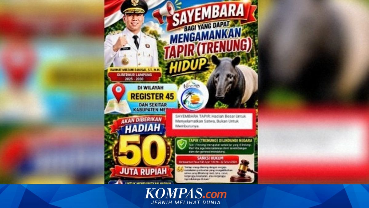 Gubernur Lampung Sediakan Hadiah Rp 50 Juta bagi Warga yang Bantu Selamatkan Tapir Hidup di Mesuji