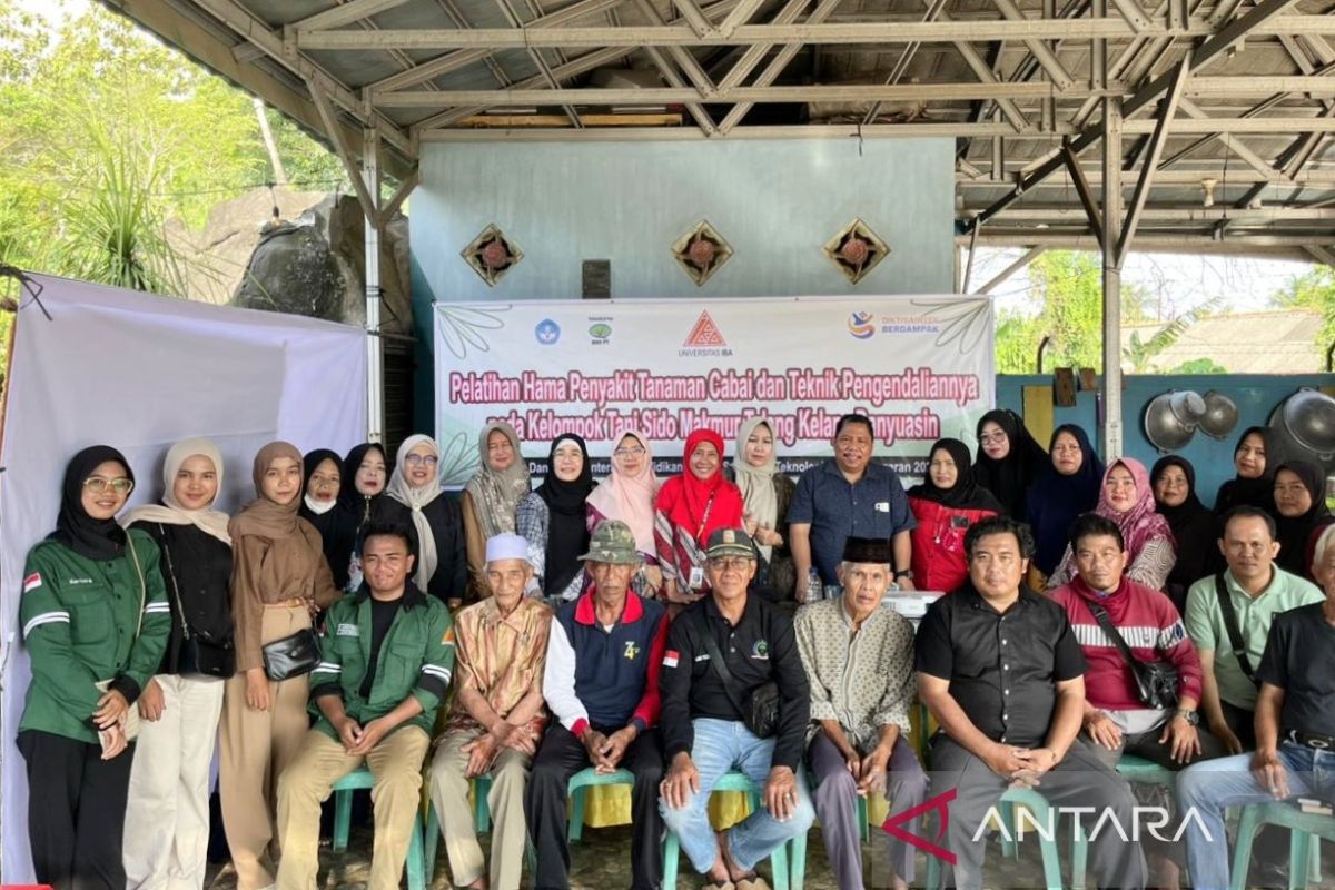 Petani Banyuasin Dilatih Jual Cabai Langsung ke Konsumen Lewat Digital, Potong Rantai Tengkulak