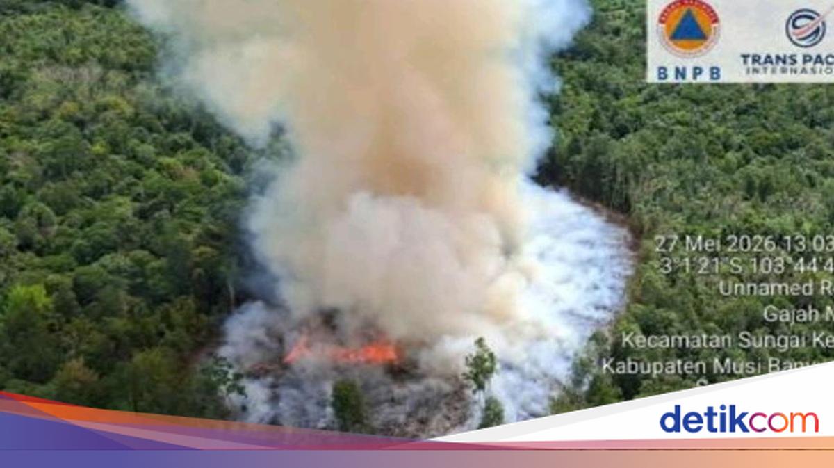 8 Daerah di Sumsel Naikkan Status Siaga Karhutla, BPBD Dorong 4 Wilayah Rawan Lain Segera Susul