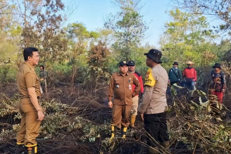 Tim Dalkarhutla Kalteng Bergerak Cepat Padamkan Api di Lahan Gambut, Warga Diimbau Tak Bakar Lahan