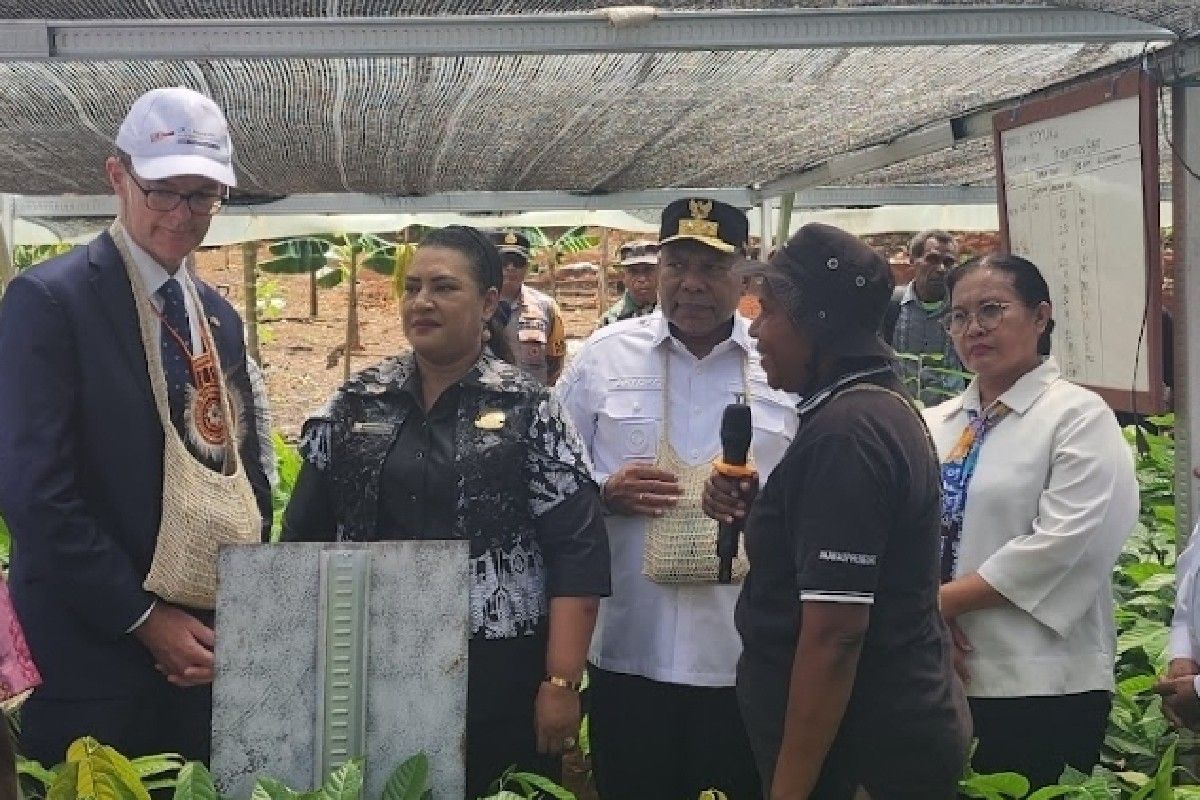 Kedubes Inggris dan Pemprov Papua Luncurkan Peta Jalan Kakao Berkelanjutan di Kampung Nambon Jayapura