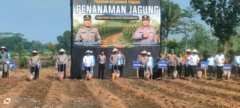 Kapolda Banten Gerakkan Penanaman Jagung di 80 Hektar Lahan Tidur Serang, Bulog Siap Serap Hasil Panen