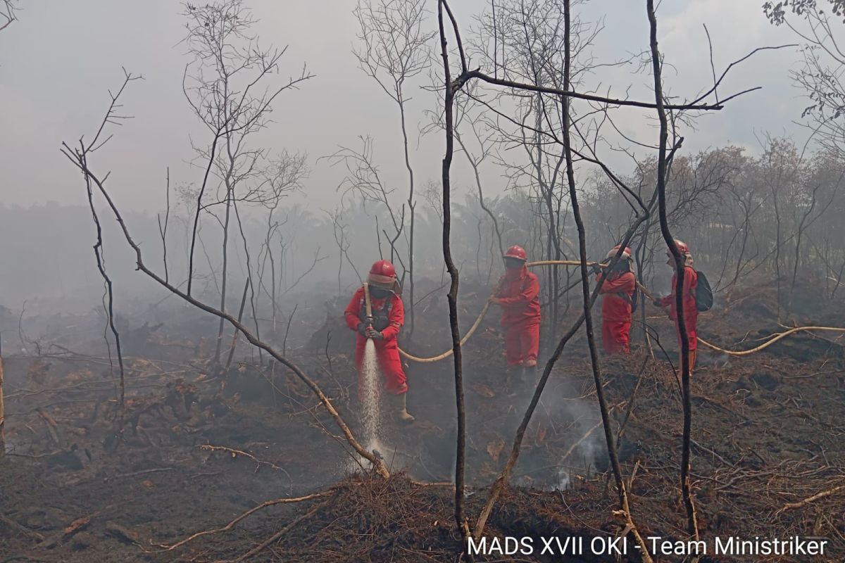 Kebakaran Lahan Gambut di OKI Meluas ke 6 Hektare, Manggala Agni Kerahkan 45 Personel dan Water Bombing