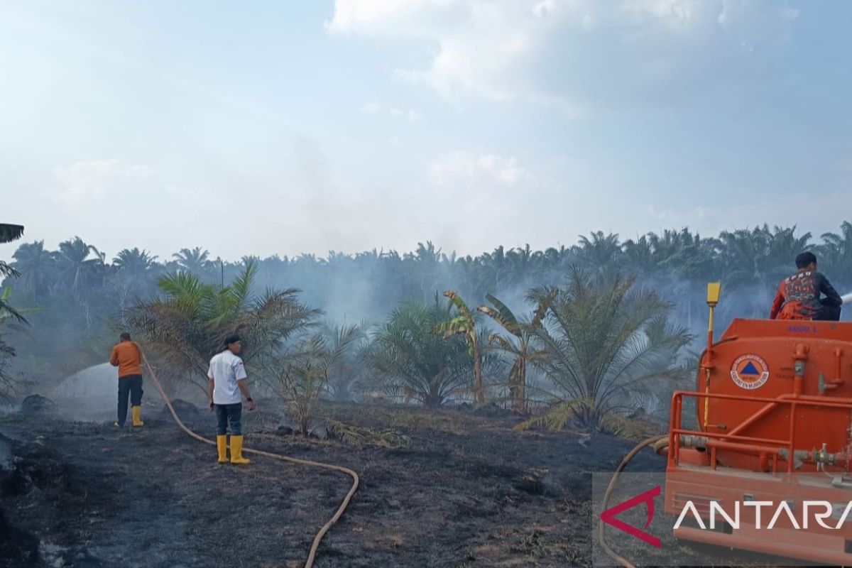 Kebakaran Lahan Sawit 4 Hektare di Muara Enim Padam Total, BPBD Ingatkan Warga Soal Puntung Rokok