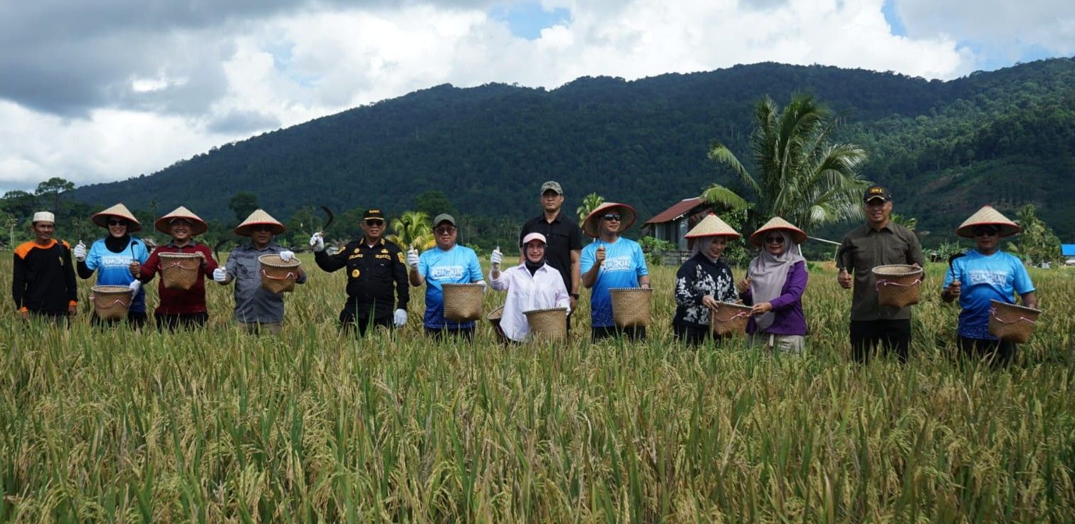 Bupati Kotabaru Panen Raya Padi di Desa Teluk Mesjid, Target Cetak Sawah 2.000 Hektare Tahun Ini