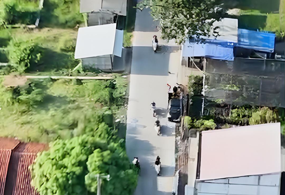 Pemkab Cirebon Rampungkan Perbaikan 24 Ruas Jalan, Targetkan 1.240 Kilometer Mantap pada 2029