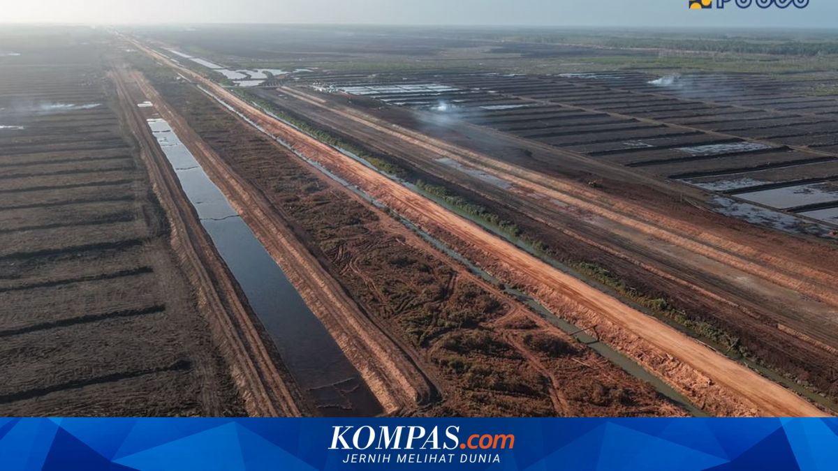 Kementerian PU Bangun 44 Km Irigasi dan 58 Km Jalan Fungsional di Merauke untuk Tekan Biaya Produksi Petani