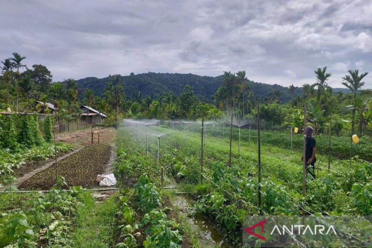PLN Journalist Awards 2026 Kembali Digelar, Jurnalis di Sulawesi Utara Diajak Angkat Isu Energi Mandiri