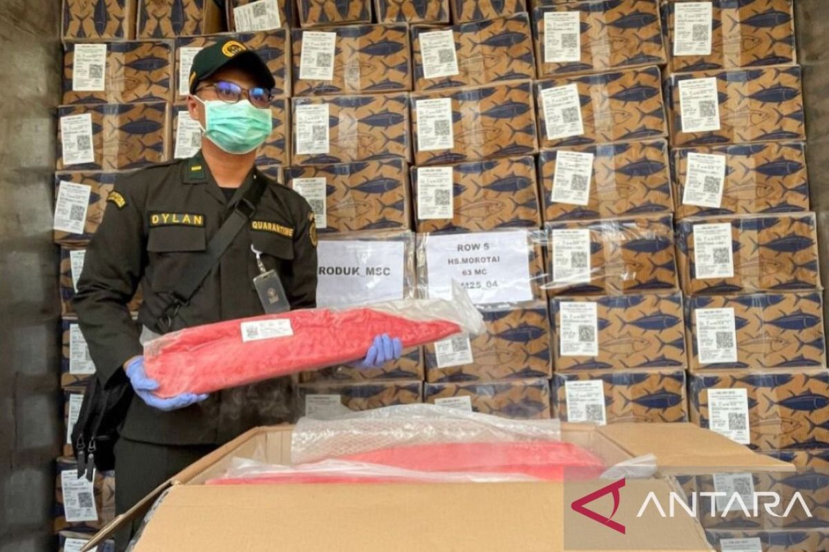 BKHIT Maluku Kawal Ekspor Perdana Tuna Beku ke Thailand, Nilai Perikanan Maluku Tembus 54,3 Juta Dolar AS