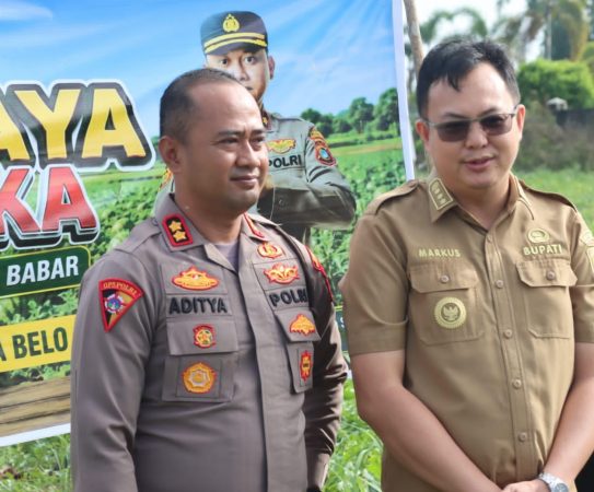 Bupati Bangka Barat Apresiasi Kapolres yang Sulap Lahan Kritis Ketapang Jadi Kebun Semangka, Panen 15 Ton