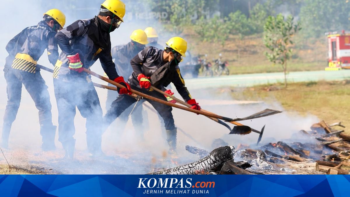 BMKG Deteksi 78 Titik Panas di Kalimantan Timur, El Nino 2026 Perparah Musim Kemarau di Kutai Timur dan Kutai Kartanegara