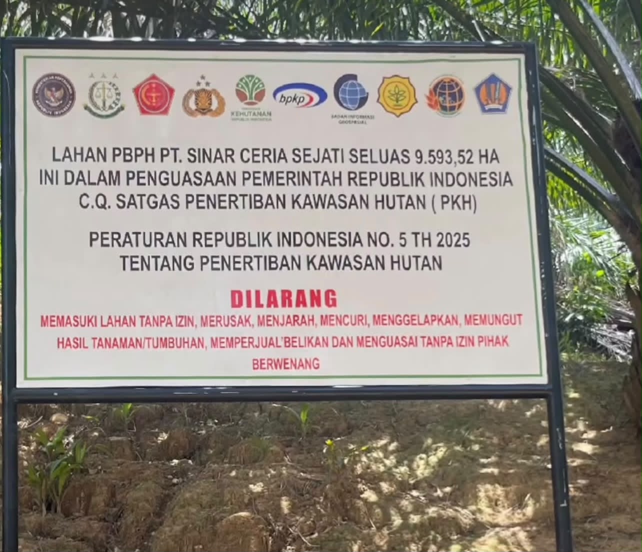 9.593 Hektare Hutan Eks Konsesi PT Sinar Ceria Sejati di Kolaka Kembali ke Negara, Satgas PKH Pasang Plang Larangan