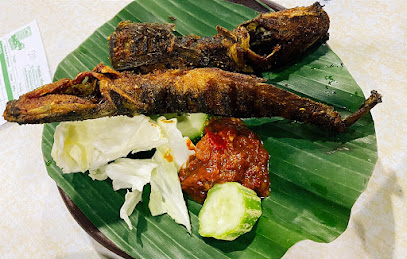 Pecel Lele Padang 2026: Rekomendasi 10 Tempat Paling Enak dan Favorit Warga