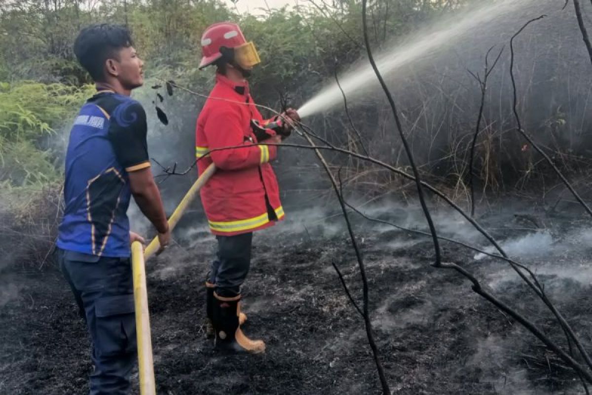 Damkar Natuna Padamkan Kebakaran Lahan 17 Hektare di Dua Lokasi, 15 Hektare di Sedarat Baru