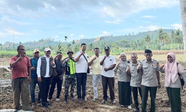 Program Cetak Sawah Baru di Gampong Seuneubok Peuraden Bireuen Disambut Positif Petani, Lahan Kebun Disulap Jadi Sawah Produktif