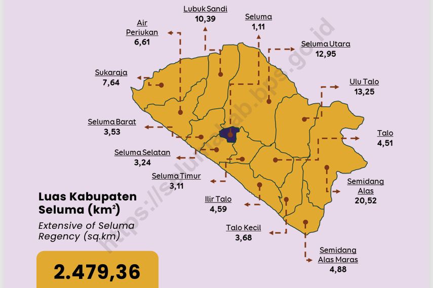 Pemakaian Listrik Warga Seluma Capai Rp91,75 Miliar Sepanjang 2024, BPK Temukan Potensi PPJ Belum Tertagih