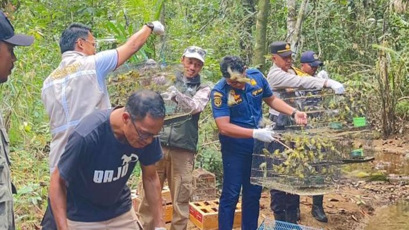 1.088 Burung Kicau Asal NTT Diselundupkan ke Surabaya, Pelaku Hanya Dibebani Surat Pernyataan