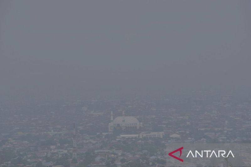 BMKG Sebut Kabut Asap di Kota Palu Dipicu Karhutla Regional Morowali dan Tojo Una-Una, PM2,5 Capai 132 Mikrogram