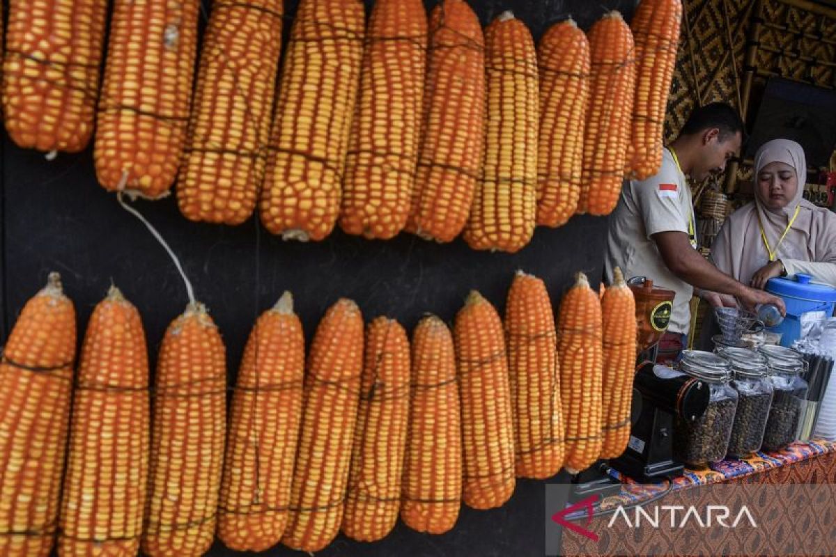 27 Kelompok Tani Ciamis Pamerkan Produk Unggulan di Hari Krida Pertanian ke-54, Dorong Pertanian Modern dan Berkelanjutan