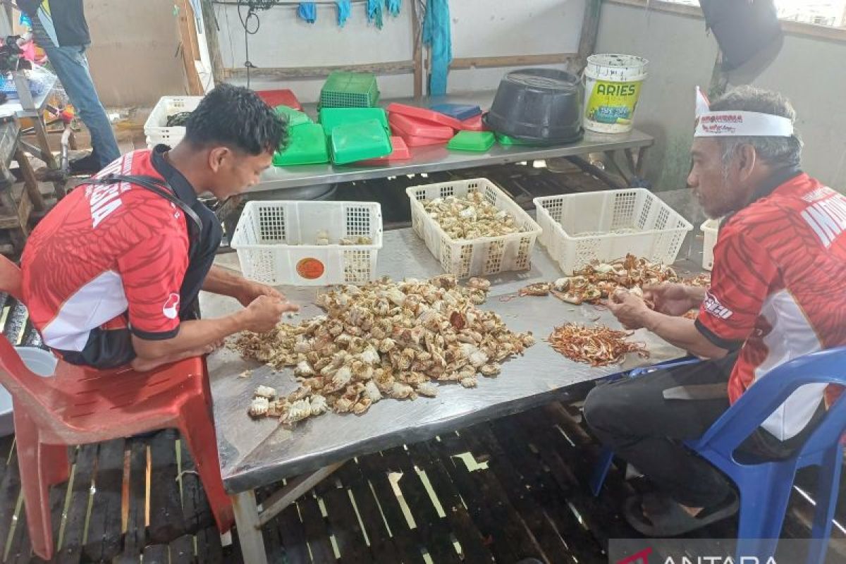 6.000 KK di Tanjungpinang Alami Perubahan Desil, Dinsos Buka Ruang Keberatan dan Pemutakhiran Data