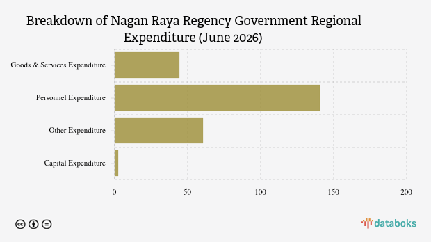 Realisasi Belanja APBD Nagan Raya Baru 21,23 Persen per Juni 2026, Belanja Modal Minim Hanya Rp 2,15 Miliar