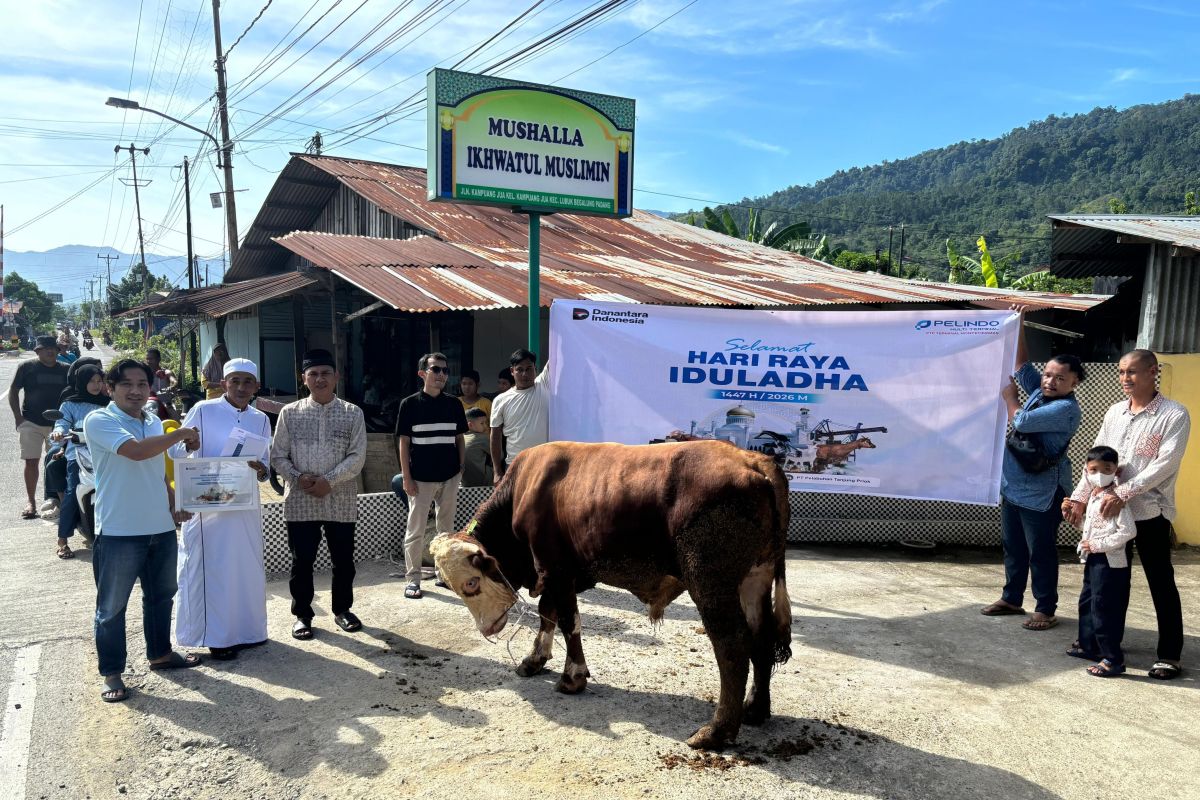 PTP Teluk Bayur Salurkan Satu Ekor Sapi Kurban 350 Kg untuk Warga Kampung Jua, Sinergi Pelindo Group