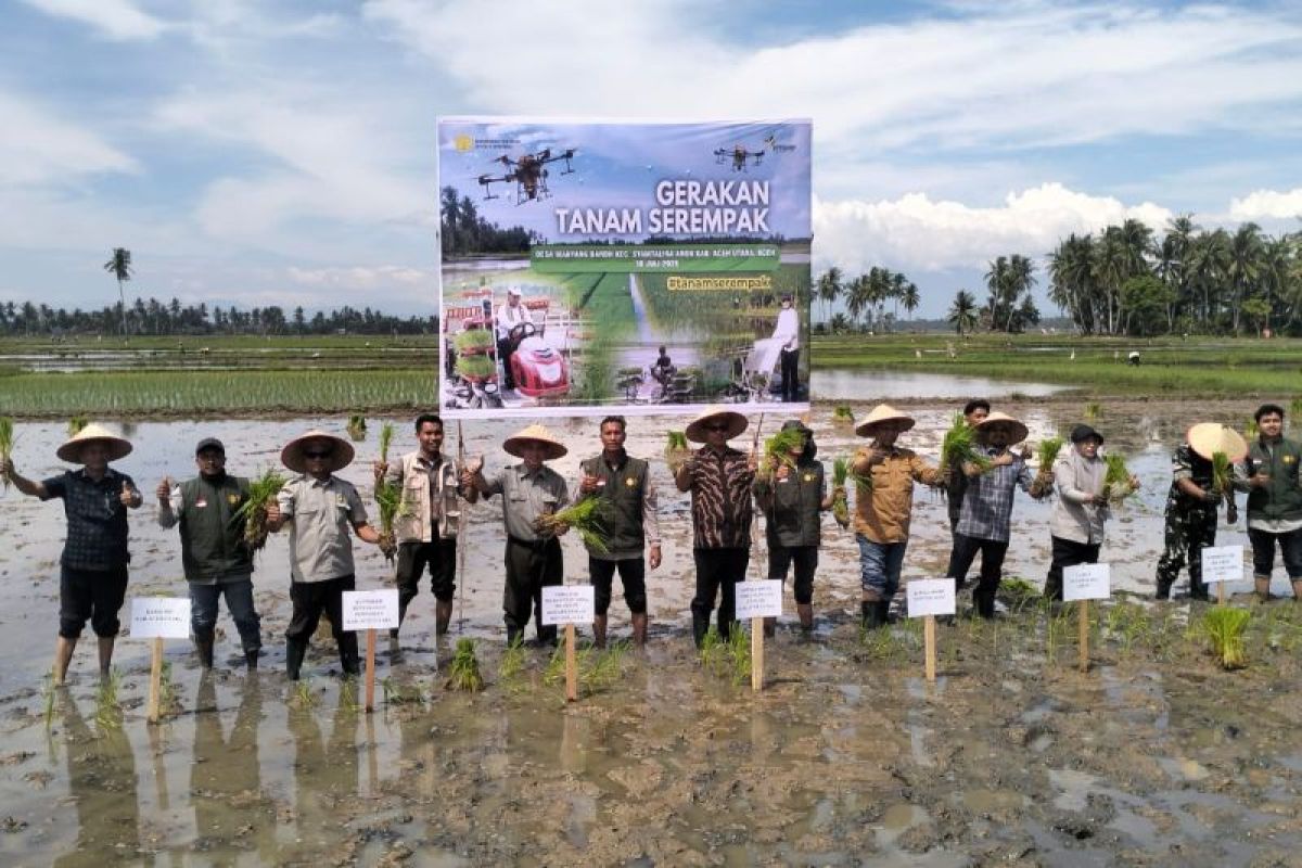 Pemkab Aceh Utara Genjot Tanam Padi Serempak, Target 30.067 Hektare Musim Gadu 2026