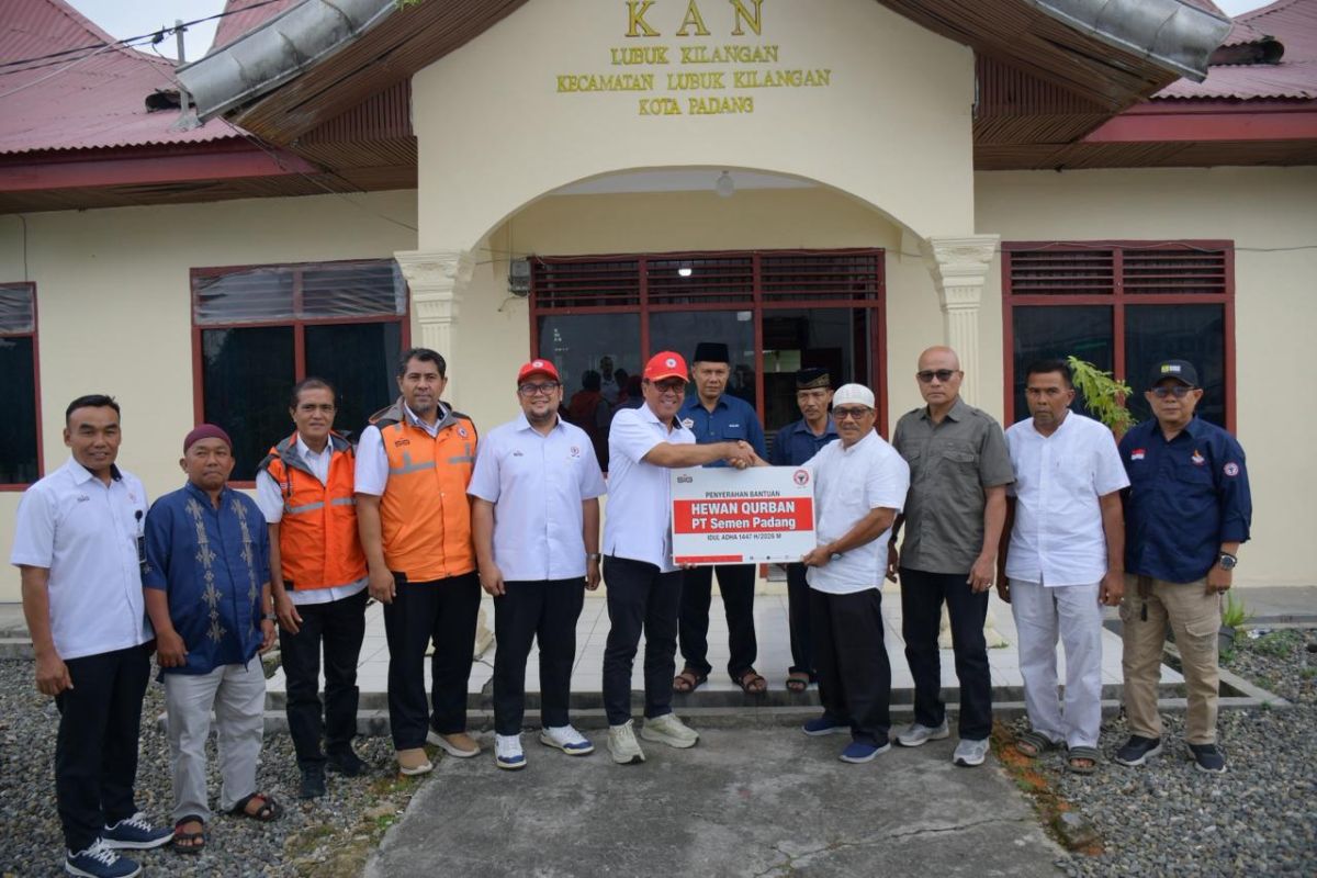 PT Semen Padang Salurkan 36 Ekor Sapi Kurban ke Nagari Lubuk Kilangan dan Limau Manis, Perkuat Tradisi Idul Adha 1447 H