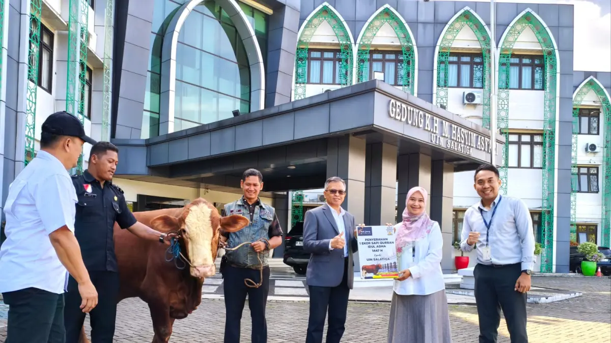 Bank Jateng Syariah Hibahkan Sapi Kurban 480 Kg ke UIN Salatiga, Ratusan Mahasiswa dan Warga Sekitar Kebagian Daging